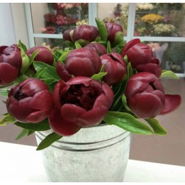 Ведро с бордовыми пионами